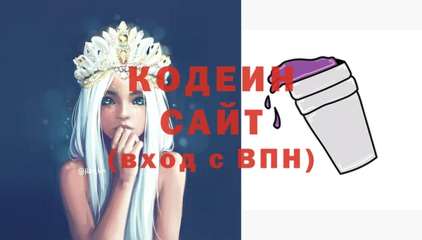 дурь Гусев