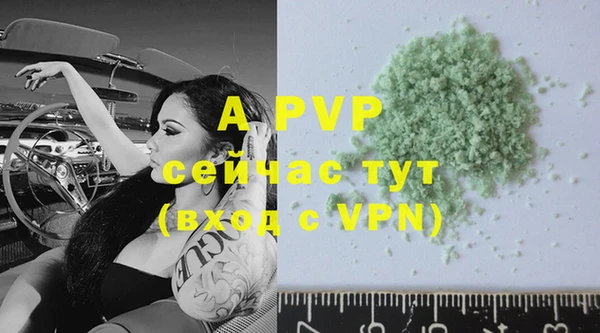 дурь Гусев