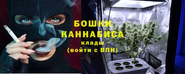 дурь Гусев